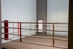 Ring bokserski - Calypso Białystok